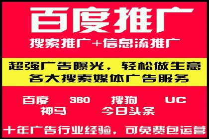 SEM代运营经典案例解析与启示